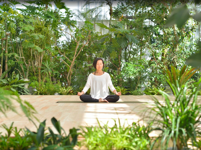 �O���[���X�^�W�IYOGA_�L���n�[�g�p�[�N�N���u