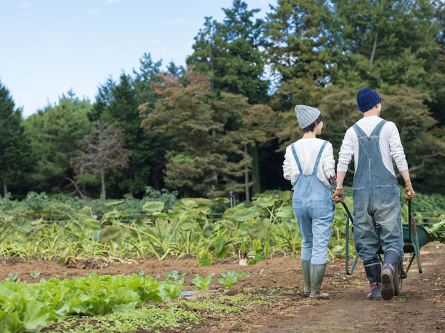 �_�Ƒ̌�_�L���n�[�g�p�[�N�N���u