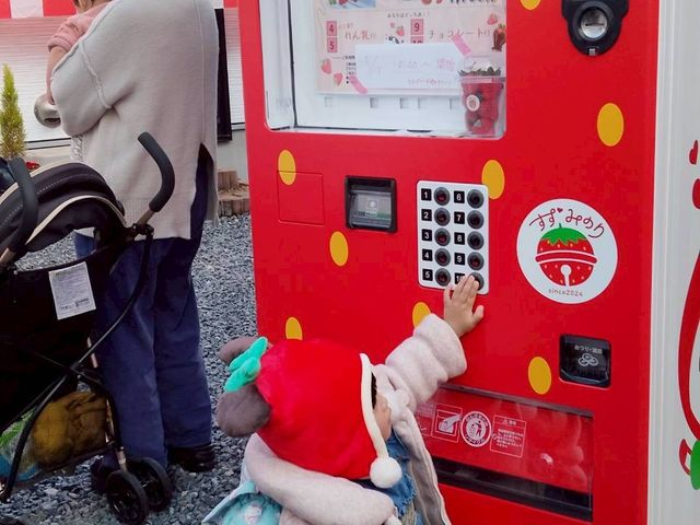 �������̎����̔��@������܂��B�������A��ɂ������ł����H_�����݂̂肢�����_��