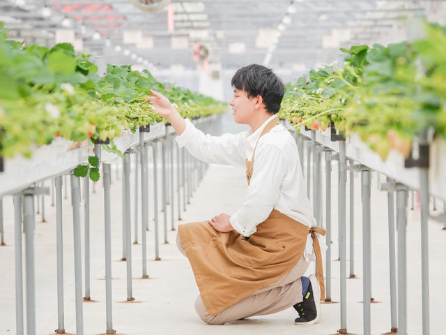 ���ݍ͔|���̗p�B�������܂܎��n�ł��A�x�r�[�J�[�ł����S���Ă��y���݂��������܂��B_�����݂̂肢�����_��