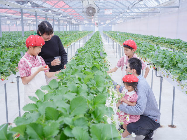 �Ƒ��݂�Ȃ̏Ί�L����ō��̂������E�ݑ̌����B_�����݂̂肢�����_��