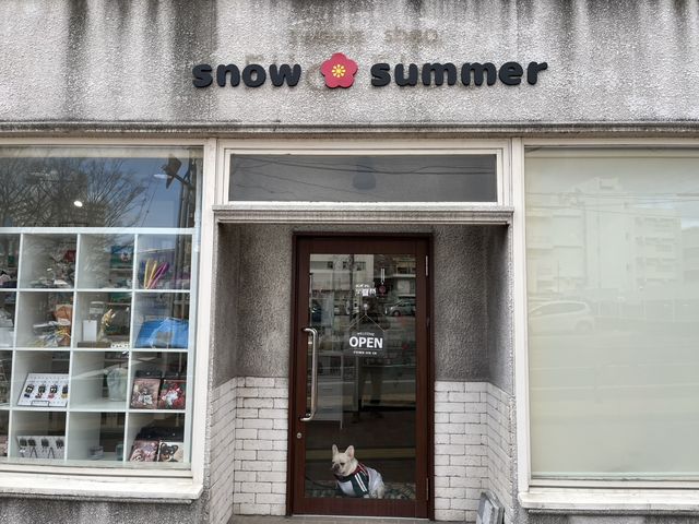 snow summer�̎ʐ^1