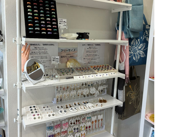 �L��������A�N�Z�T���[_snow summer