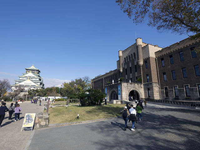 �{�݊O��_�C�m���t�B�M���A�~���[�W�A���~���C�U����