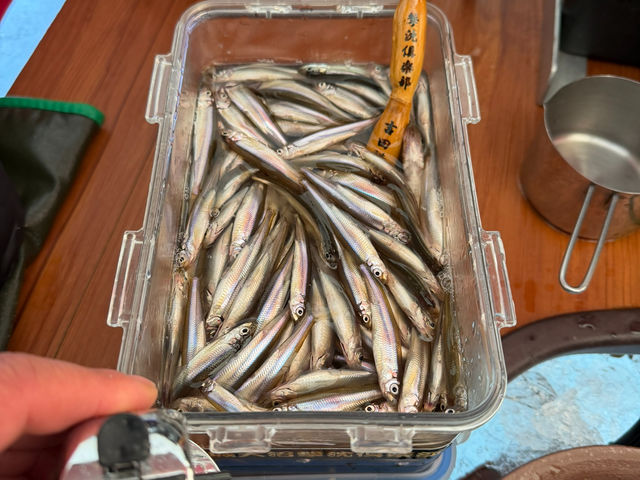 �ԏ�R �ؕʊ�