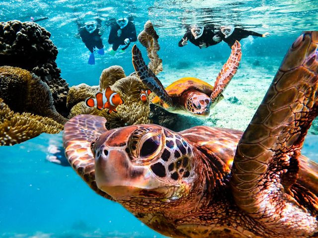 �}�[���{�Ó��̎ʐ^1