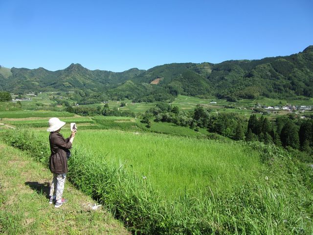 �������Discover Walks