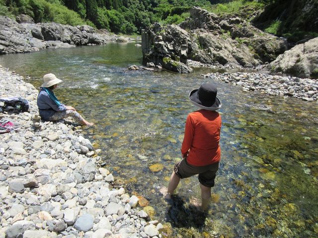 �������Discover Walks