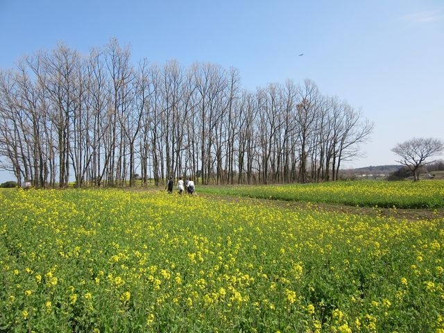 �������Discover Walks