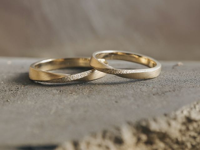 �����w�֐���R�[�X�ō쐻�ł��郁�r�E�X�����O_Rises