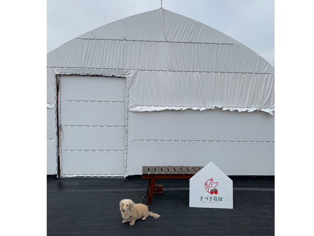 ���Â�䕉�