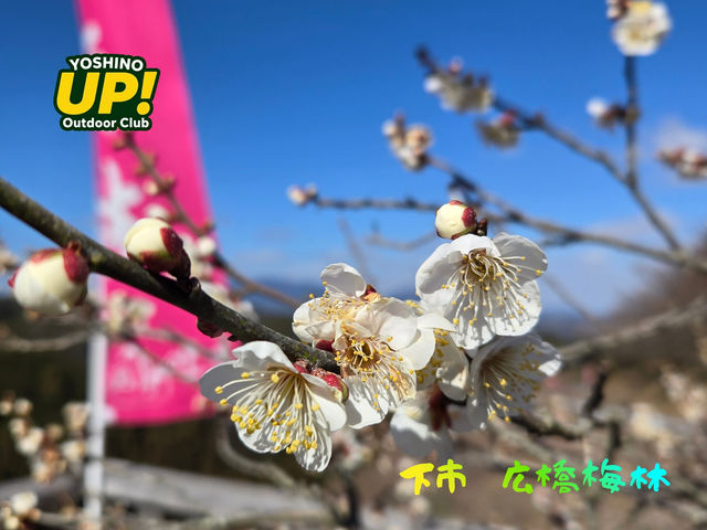 ����L����~�тɗ��Ă݂܂��񂩁H_�g��A�E�g�h�A�N���uUP!