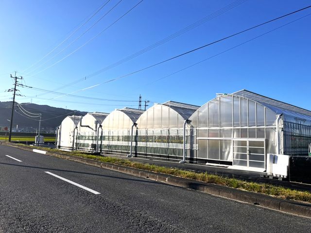 ���񂫔_�� ��R�_��̎ʐ^1