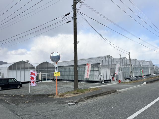 ���񂫔_�� ��R�_��̎ʐ^1