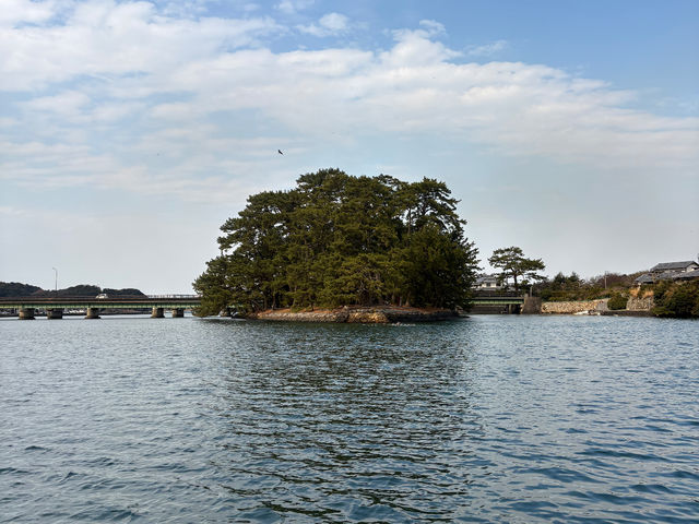 ���{��̉����ɂ����Փ�
�����i�̂ЂƂƂ��ꔋ�̖����n_��SUP