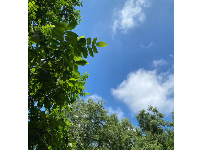 �L���Ȏ��R_Ratna�`�ƂƂ̂��A���}�T�����`