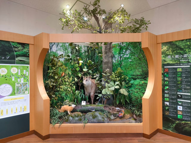 �������k����_���̓m