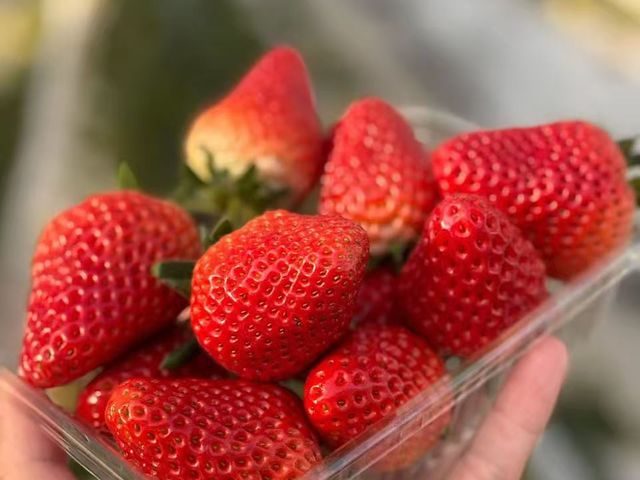 �X�̂������̎ʐ^1