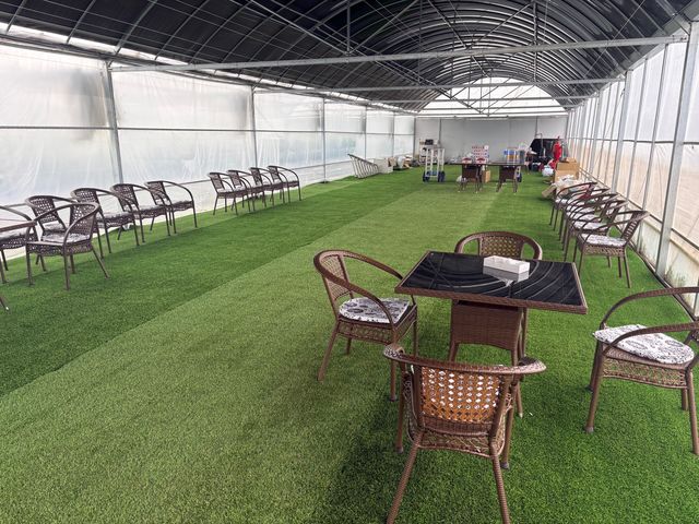 �X�̂�����