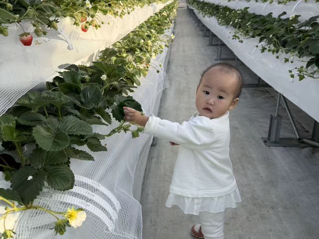 �X�̂�����