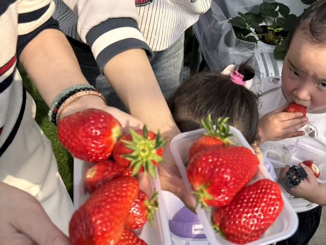 �X�̂�����