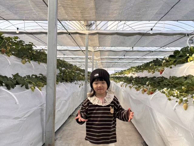 �X�̂�����