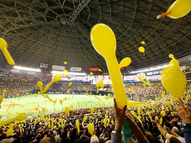 �����\�t�g�o���N�z�[�N�X