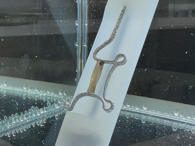 �����炵���J���[�𐶂ݏo���Ă����܂�_ETERNAL FIRST DIAMOND�É�