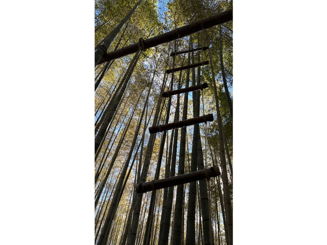 �u���u���n�V�S_�|�эL��