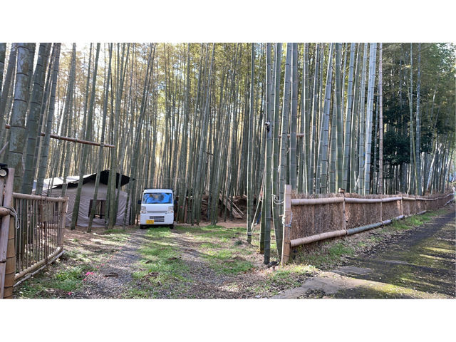 �����&���ԏ�_�|�эL��