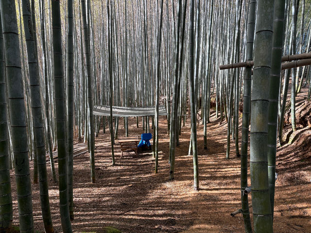 ���̓t�J�t�J�ł�_�|�эL��