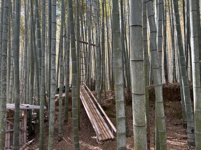 �|�̊����I���������q����Ƒ�l�̕��ɑ�l�C�I_�|�эL��