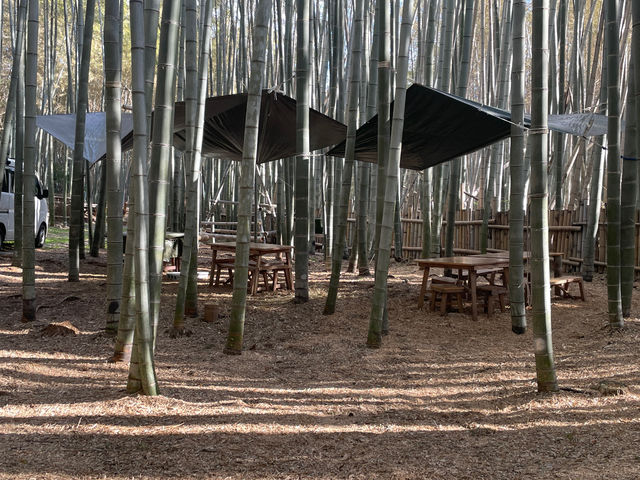 �Ă̓^�[�t�ō�������
�������ɖ�����܂�_�|�эL��