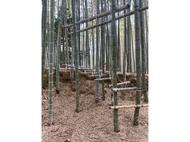 �u���u���o���u�[
��Փx���߂ł�_�|�эL��