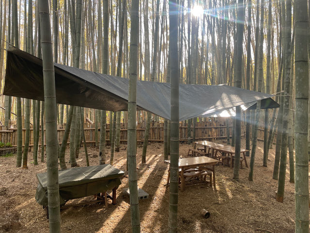 �ؘR����̒|�тŁA�����ɕ�܂�Ȃ��烏�N���N�e�ށA�S�قǂ�����ʂȂЂƂƂ���̌����Ă�������_�|�эL��