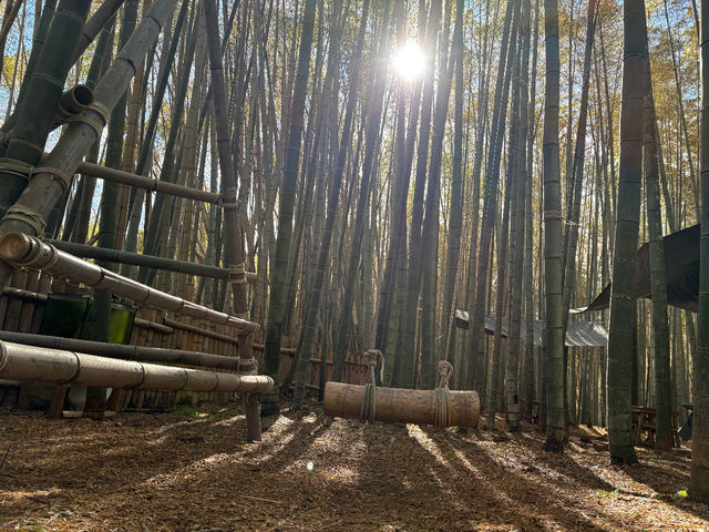 ���������������ޏu�Ԃ�
�����ʁI_�|�эL��