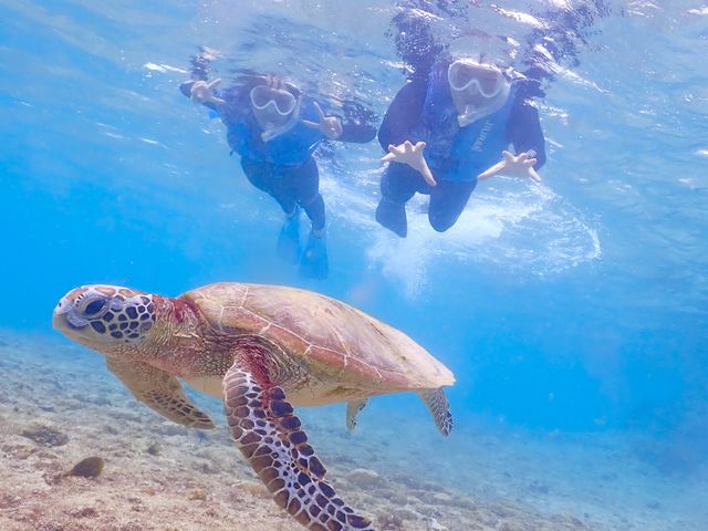 vingt quatre �{�Ó�