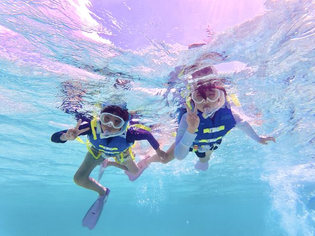 vingt quatre �{�Ó�