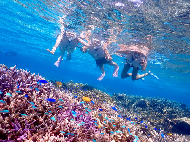 vingt quatre �{�Ó��̎ʐ^1