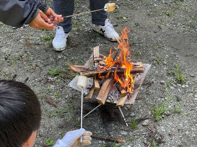 �_�ă}�V���}���̌��^_�c�A�[�����N����