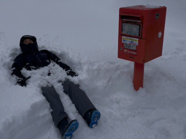 �_��V�ё̌��^_�c�A�[�����N����