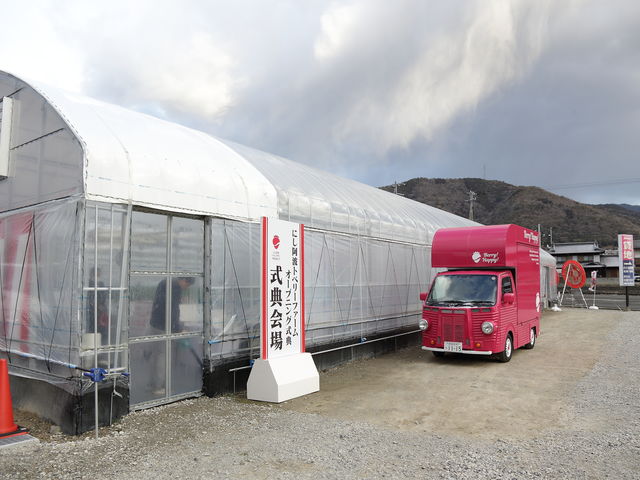 �_���V���{���̃L�b�`���J�[_�ɂ����g�g�x���[�t�@�[��