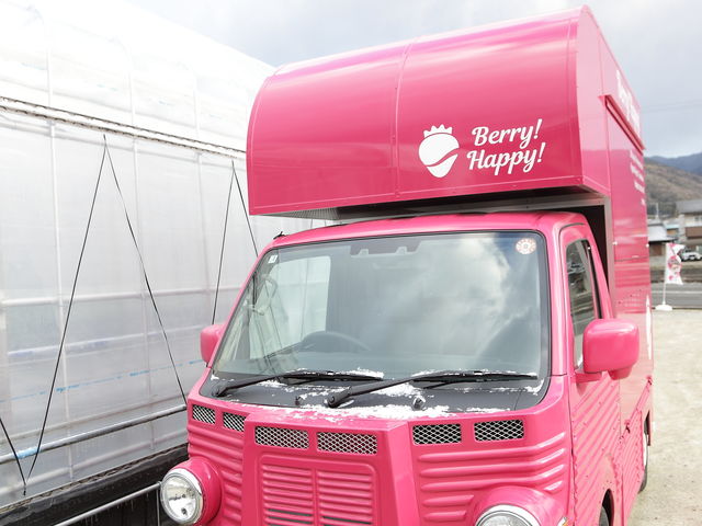 �_���V���{���̃L�b�`���J�[_�ɂ����g�g�x���[�t�@�[��