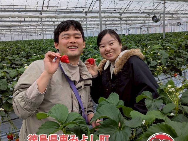 �ɂ����g�g�x���[�t�@�[��