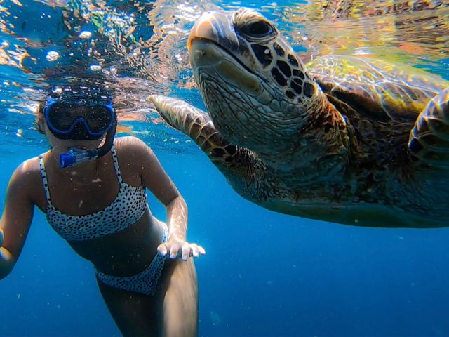 RUANOA�Ί_���̎ʐ^1