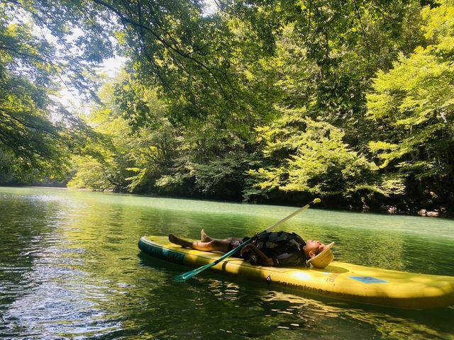 Tommy�fz sup�̎ʐ^1