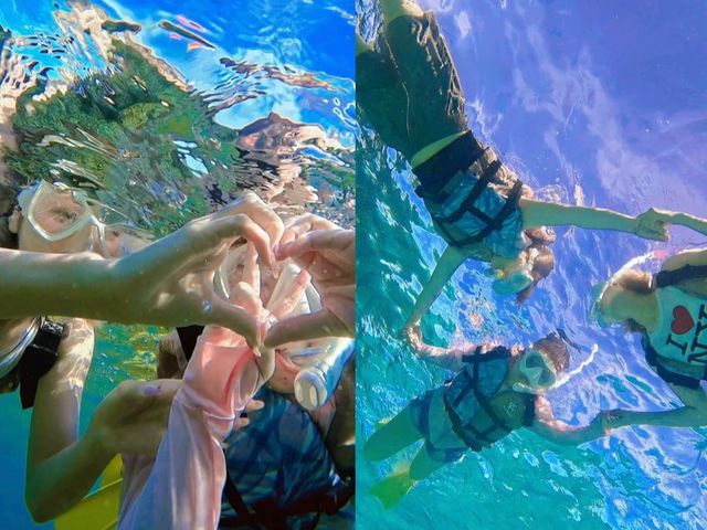 �m�[�X�|�C���g����̎ʐ^1