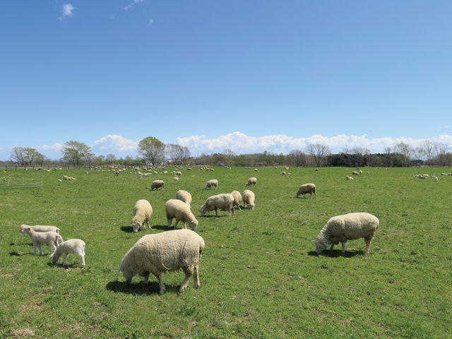 ������񑺂̎ʐ^1