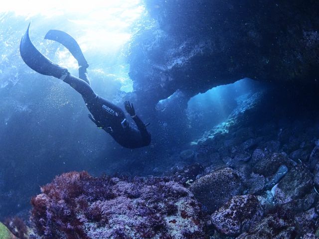 scuba&skindiving +YOU�̎ʐ^1