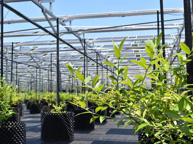 �����A�O���p�[�N����̎ʐ^1